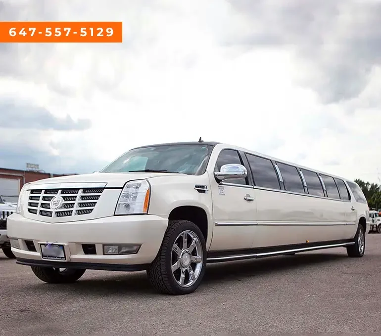 Guelph Limo Bus