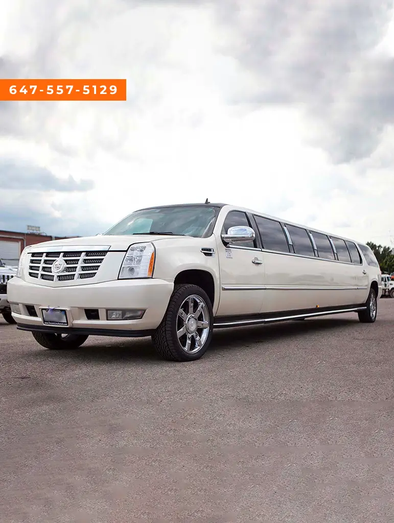Guelph Limo Bus