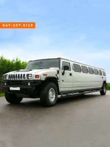 Toronto Niagara Falls Party Bus