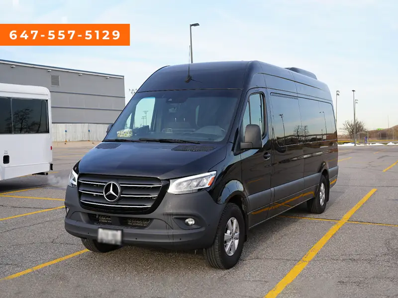 Party Bus Services